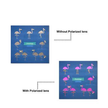 SC-B-L-21 New style colorful polarized rainbow test piece, equipped with transparent acrylic display stand, logo customizable
