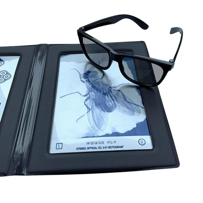 JH-555 Stereoscopic fly image Stereoscopic detection Fly butterfly Titmus Stereoscopic polarization test Inspection image - image5